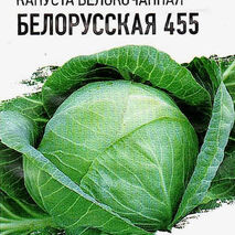 Капуста Белорусская 455 (средняя)